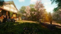 Image 10 de la galerie