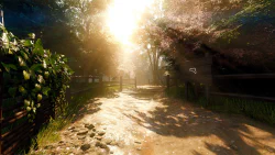 Image 15 de la galerie