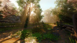 Image 6 de la galerie