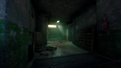 Image 7 de la galerie