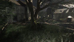 Image 14 de la galerie