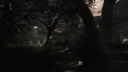 Image 27 de la galerie