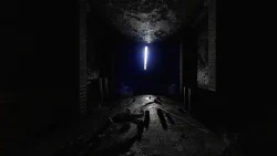 Image 37 de la galerie