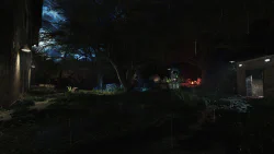 Image 47 de la galerie