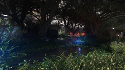 Image 7 de la galerie