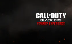 Image 12 de la galerie